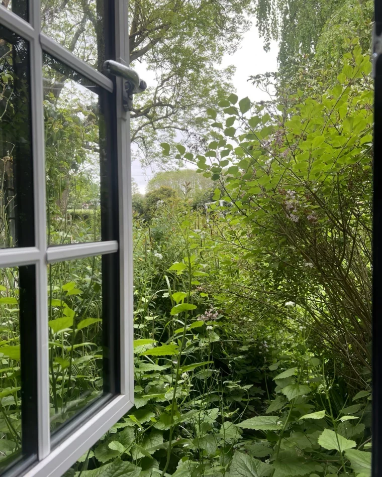 fenetre cadre blanc vitre vue nature jardin arbres arbustes