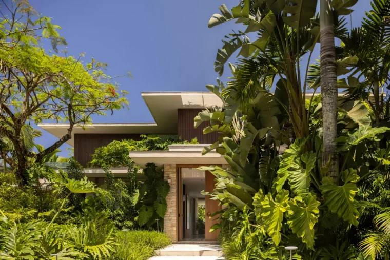 maison moderne plantes tropicales palmiers arbres