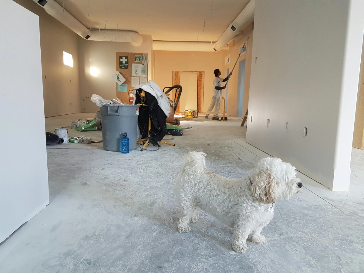 travaux projet de renovation maison interieur murs peinture isolation
