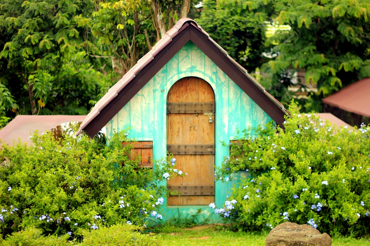 cabane bois abri stockage porte toiture gazon arbustes arbres