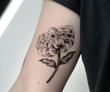 chrysantheme tattoo petit dessin bras petales feuilles