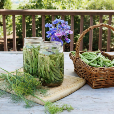 conserves haricots verts preparation table bois herbes fraiches