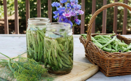 conserves haricots verts preparation table bois herbes fraiches