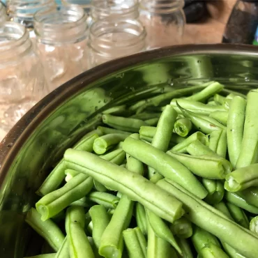 marmite sterlisation legumes haricots verts bocaux verre methode