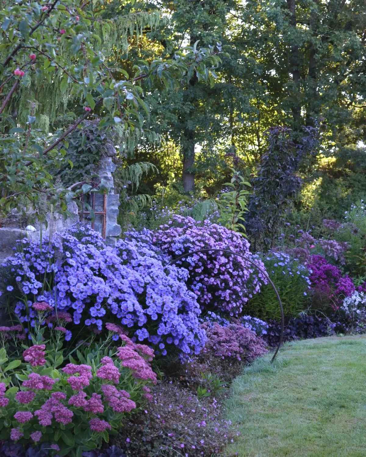 comment avoir un jardin d hiver fleurs violettes pelouse verte