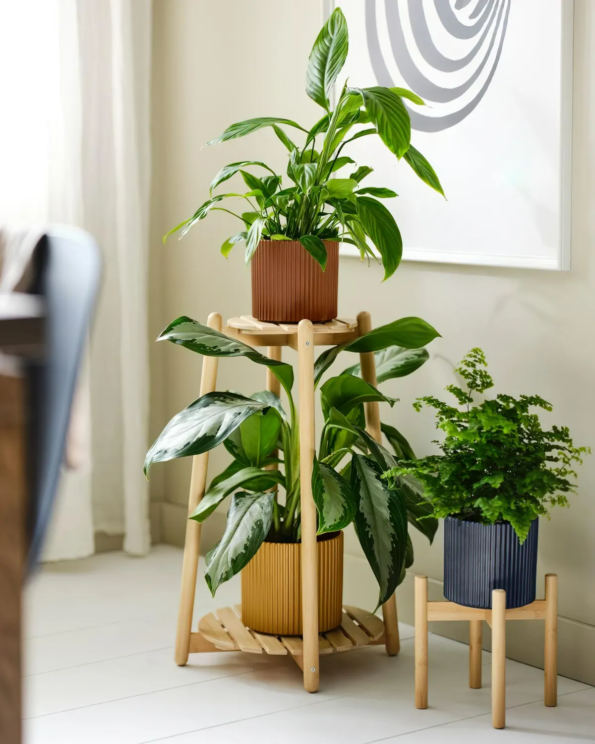 etagere en bois pour plantes d interieur comment rempoter une plante