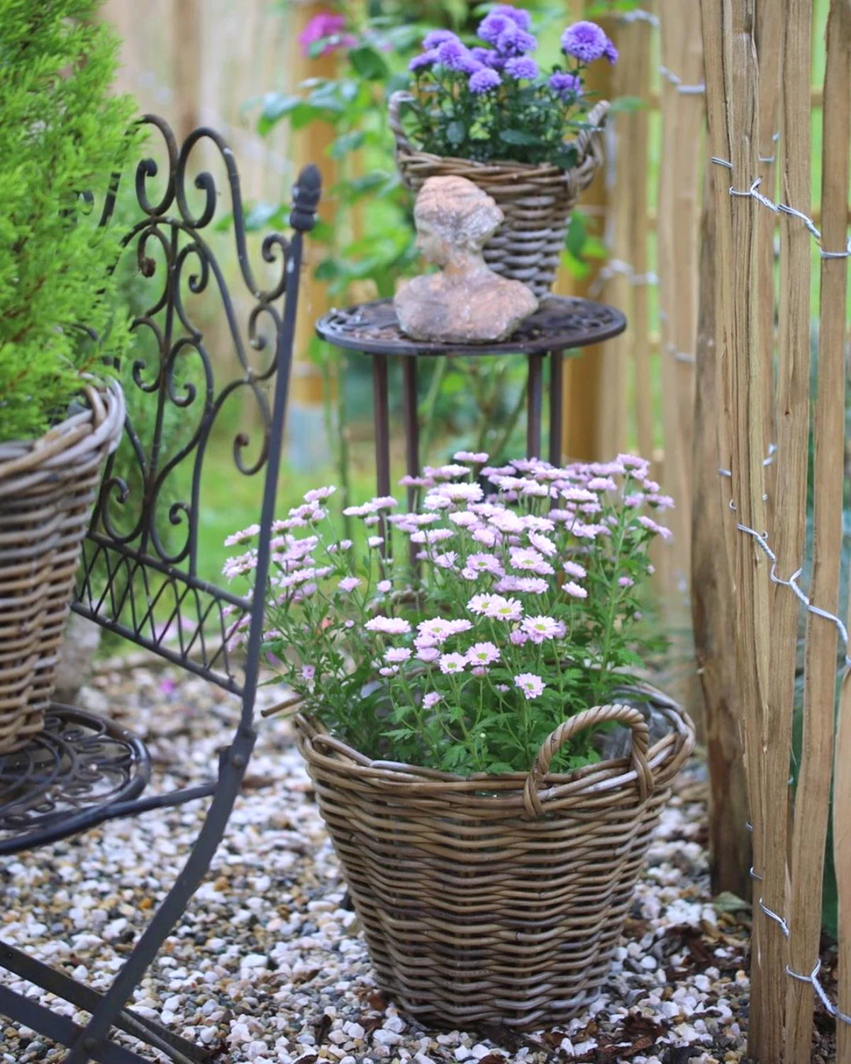 fleurs en pot pour le balcon qui fleurissent en hiver