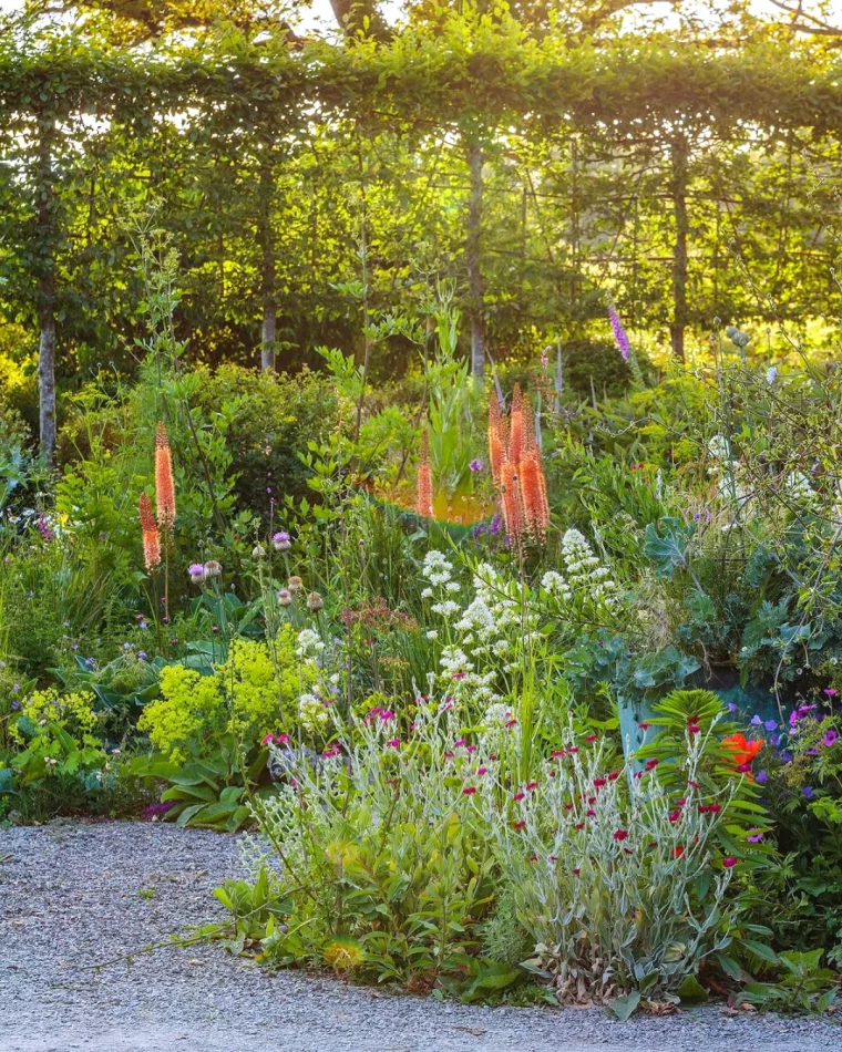 jardin fleuri en hiver plantes vertes et fleurs