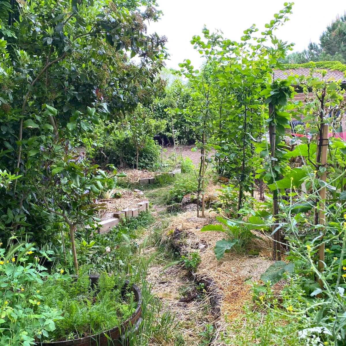 les arbres en ocotbre pootager