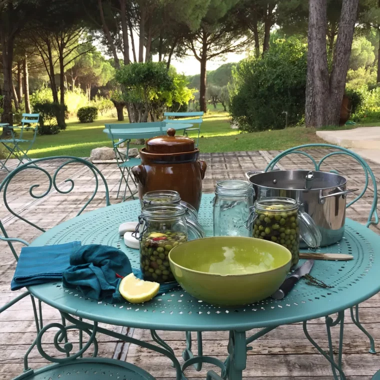 mise en conserves des olives recoltees recette