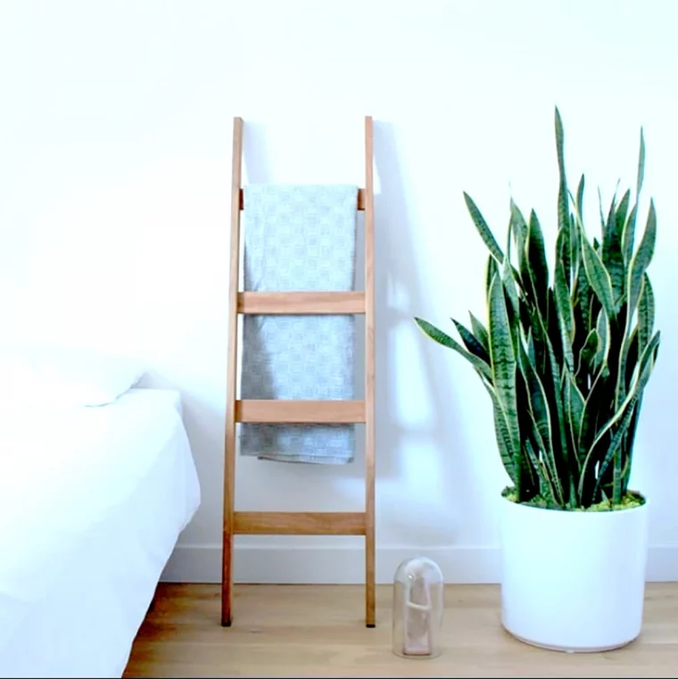 plantes depolluante pour la chambre a coucher