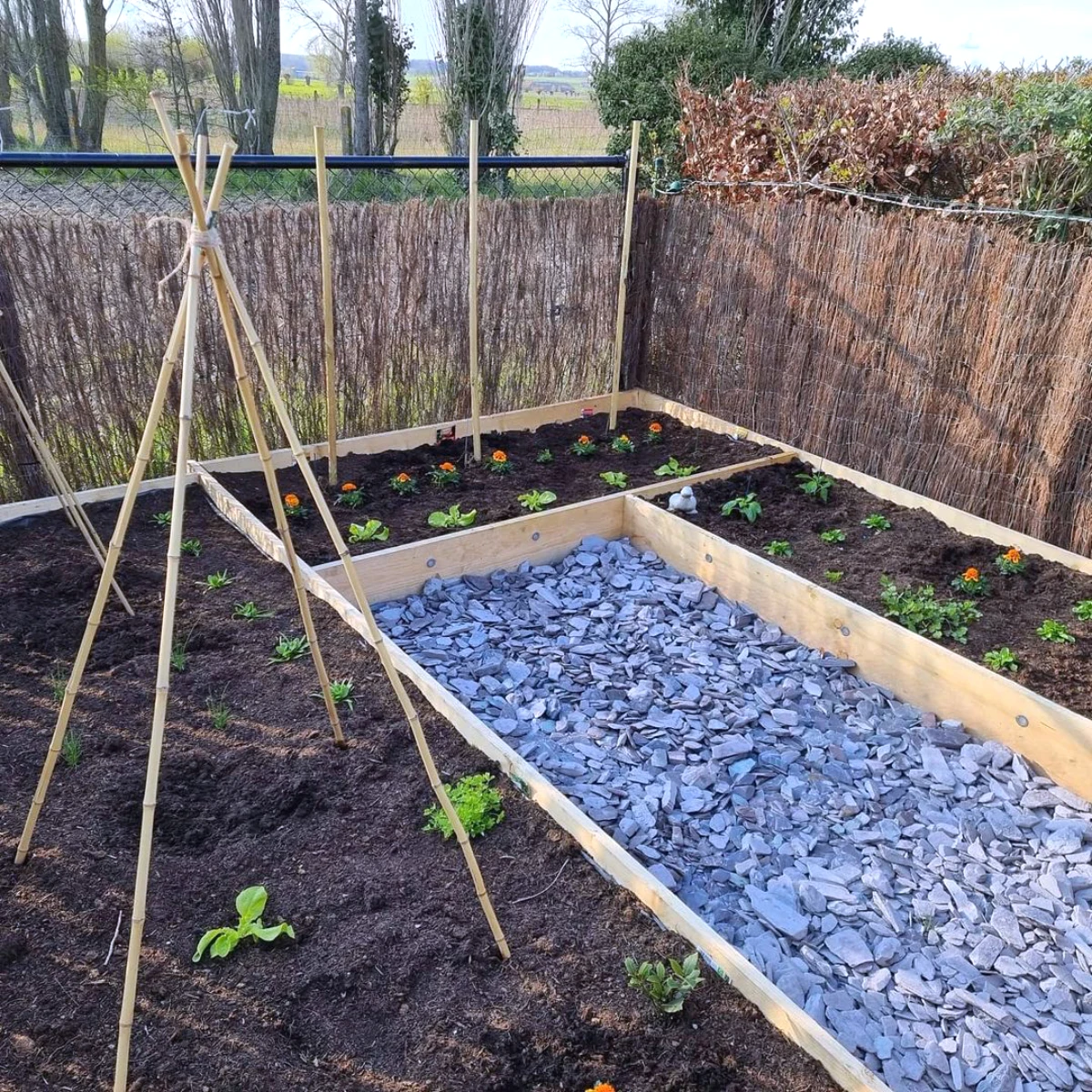 que planter en octobre potager