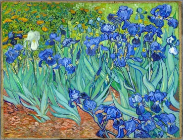 quelle est le symbole de l iris tabelau peint par van gogh