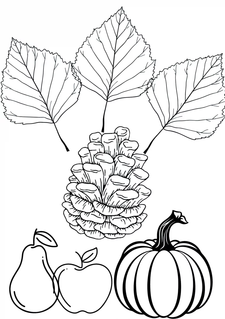 fruits et legumes d automne coloriage enfant gratuit