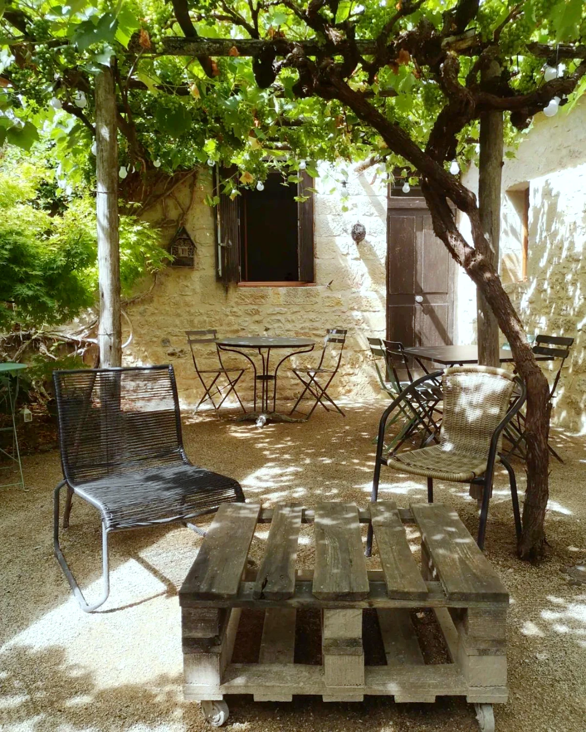 peut on tailler une vigne en automne jardin sous l ombre chaises et table en palette