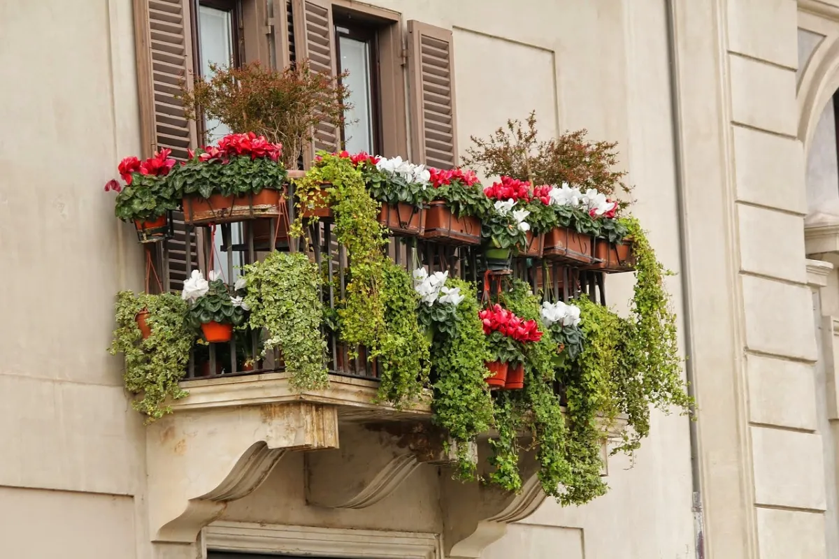 quelles plantes resistantes au froid et a la chaleur choisir pour son balcon