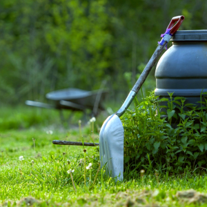 comment entretenir sa pelouse comme un pro