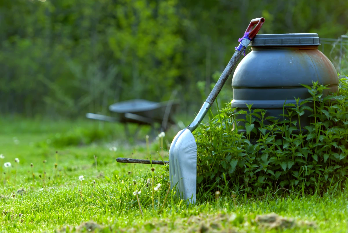 comment entretenir sa pelouse comme un pro