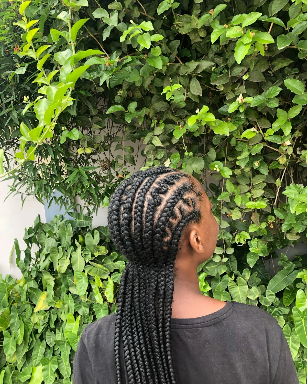 nattes africaine colle cheveux longs motifs tresses cornrows