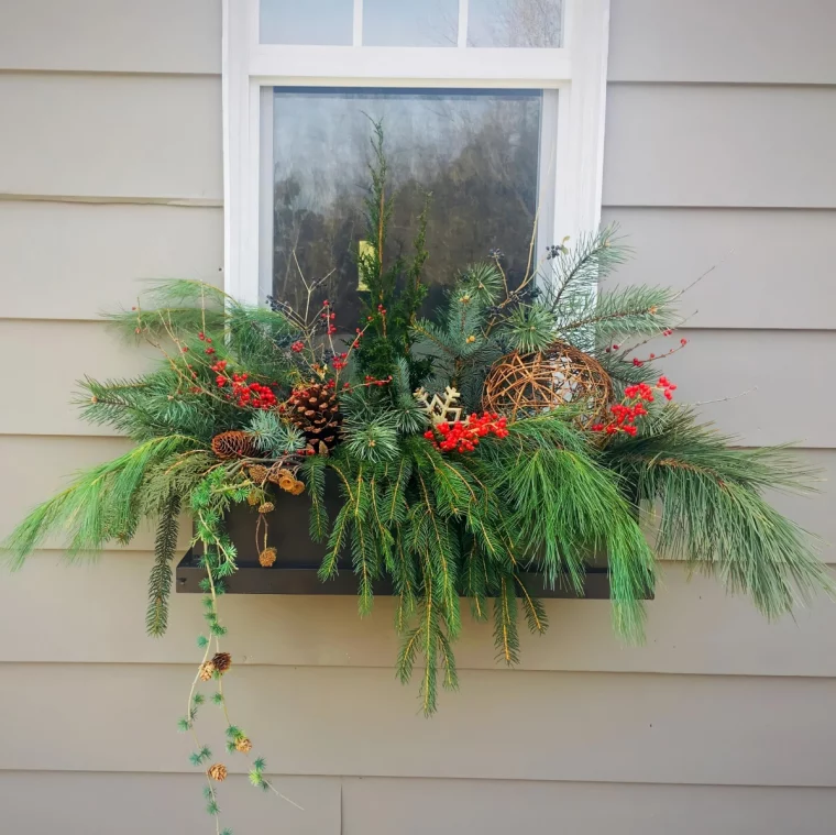 branches sapin verdure baies rouges deco noel exterieur