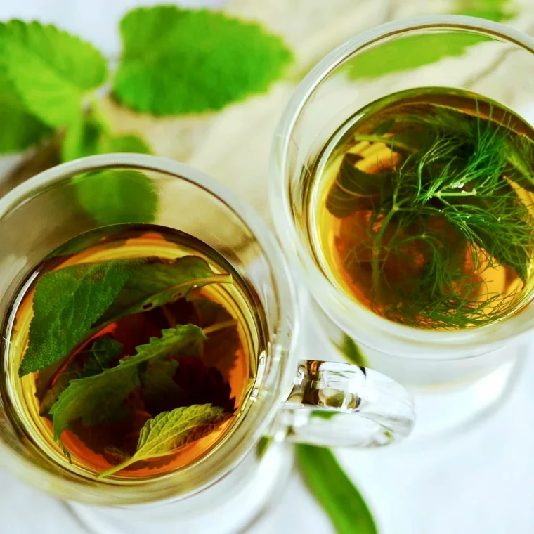 infusion aux herbes pour se detoxifier