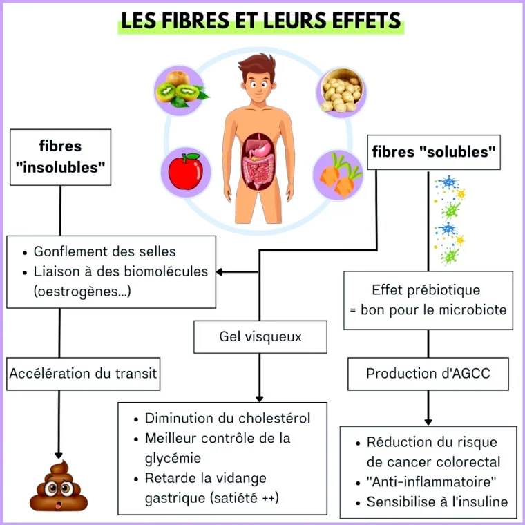 les fibres pour se detoxer apres les fetes