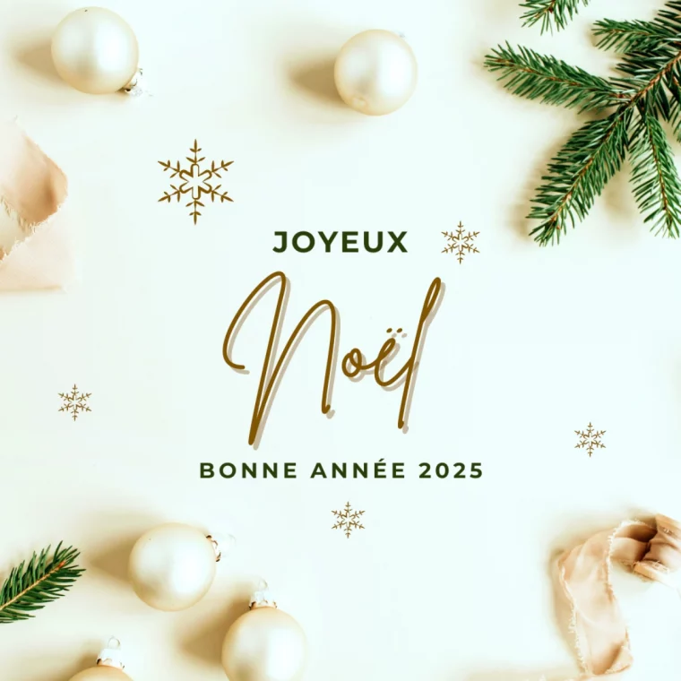 souhaiter joyeux noel avec une carte