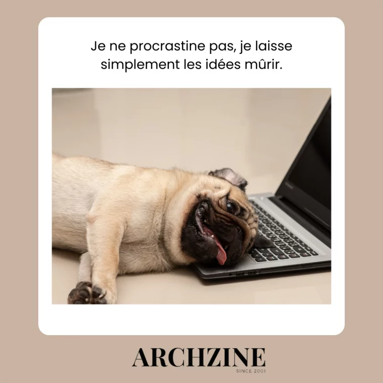 chien fatigue repose sur clavier bureau citation drole travail