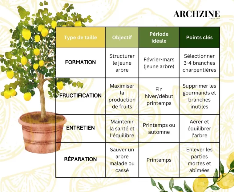 comment tailler un citronnier tableau types de taille periode