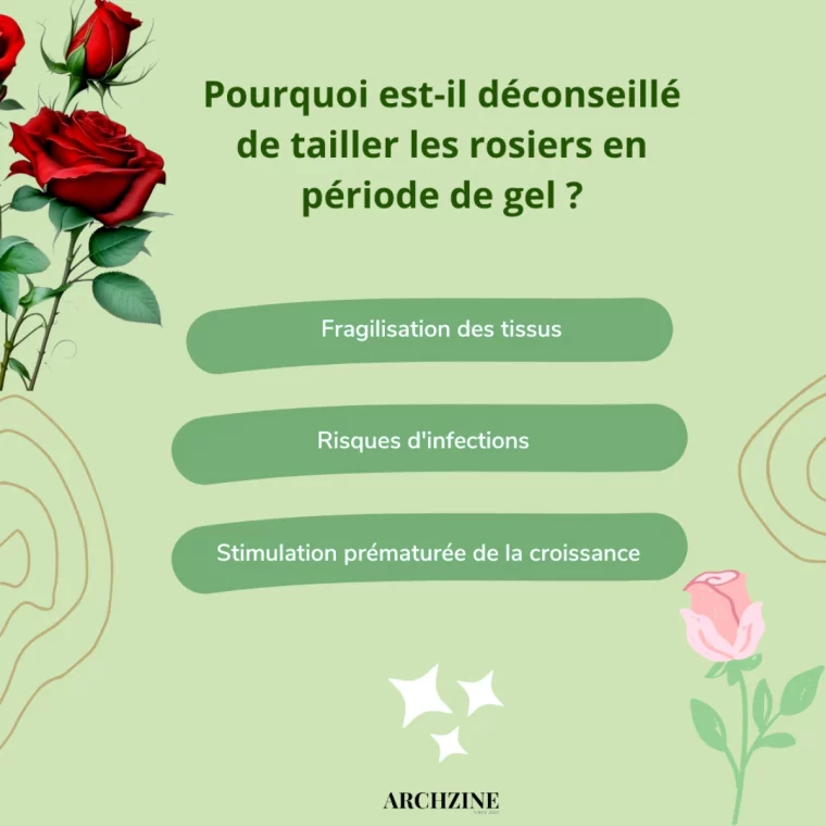 conseils entretien des rosiers en hiver illustration avec texte