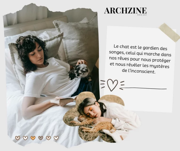 femme endormie chat gazon lit cocooning animal de compagnie