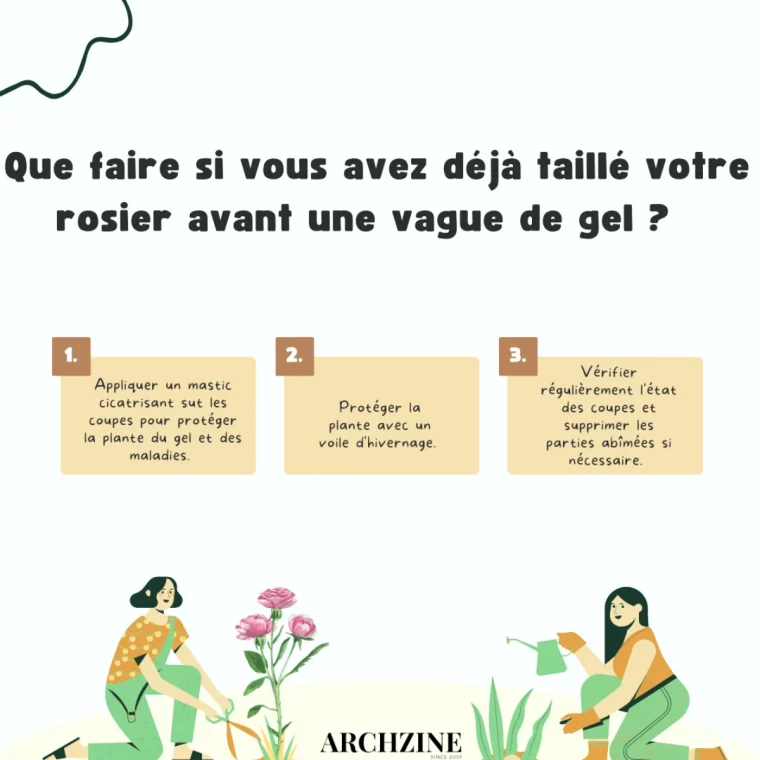 la taille des rosers en periode de gel