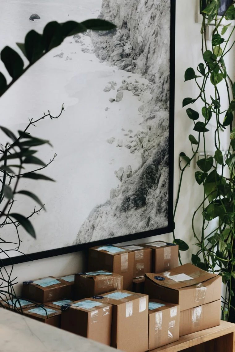 paysage mer noir et blanc plantes tombantes interieur boites