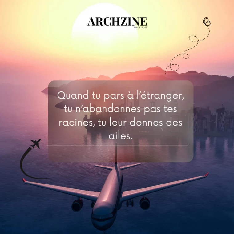 souhaiter un bon depart a l etranger vol avion vue d en haut coucher soleil