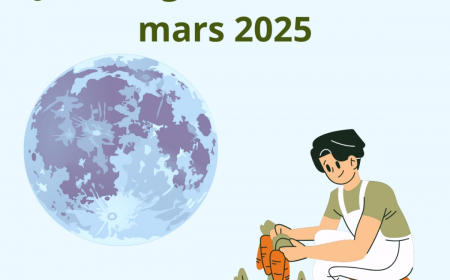 calendrier lunaire graines et plantes mars 2025 illustration