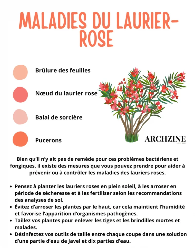 les principales maladadies du laurier rose