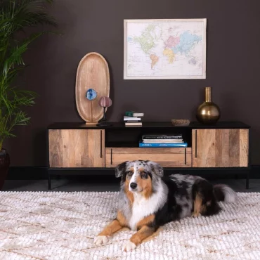 meuble pour le salon boheme chic chien sur un tapis