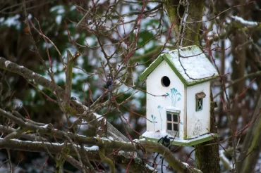 nature jardin arbres branches sechees hiver maison oiseaux bois neige