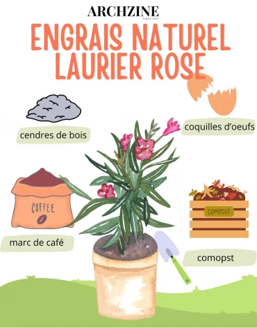 quel engrais naturel pour laurier rose