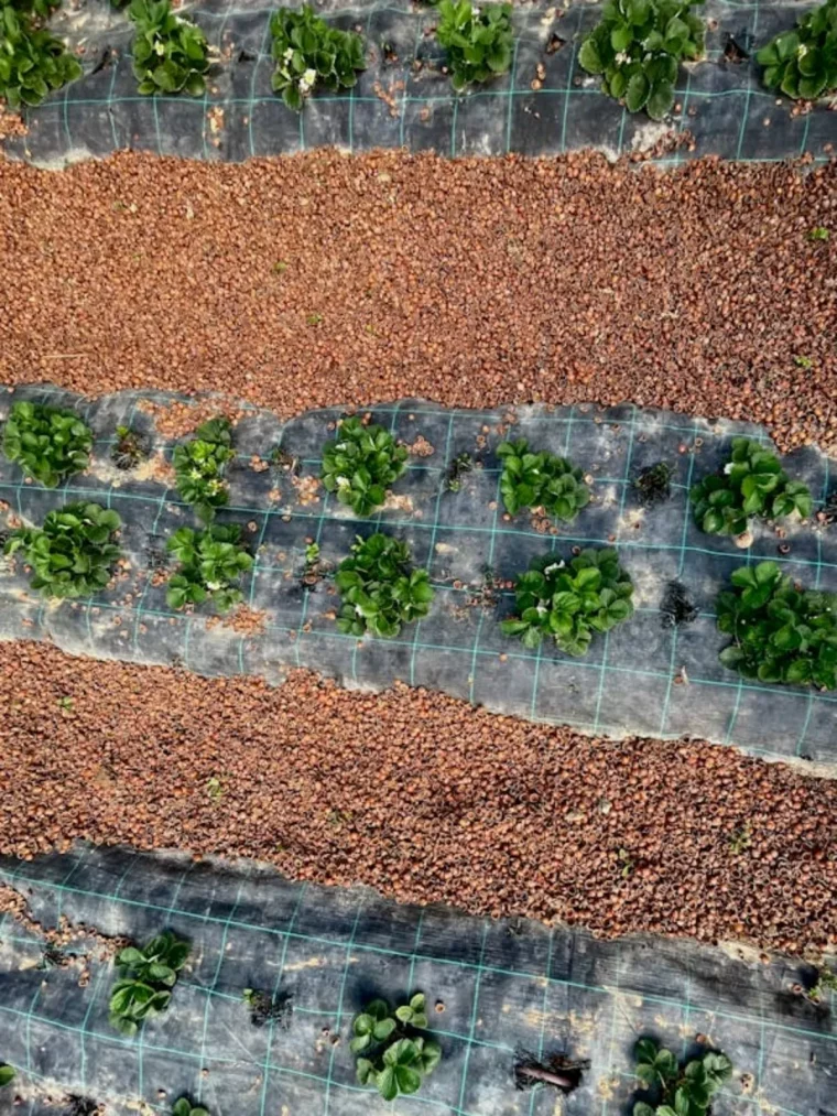 un jardin équilibré