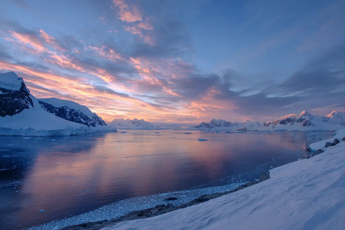 antarctique le guano des manchots fabrique des nuages 3