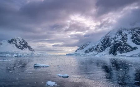 antarctique le guano des manchots fabrique des nuages