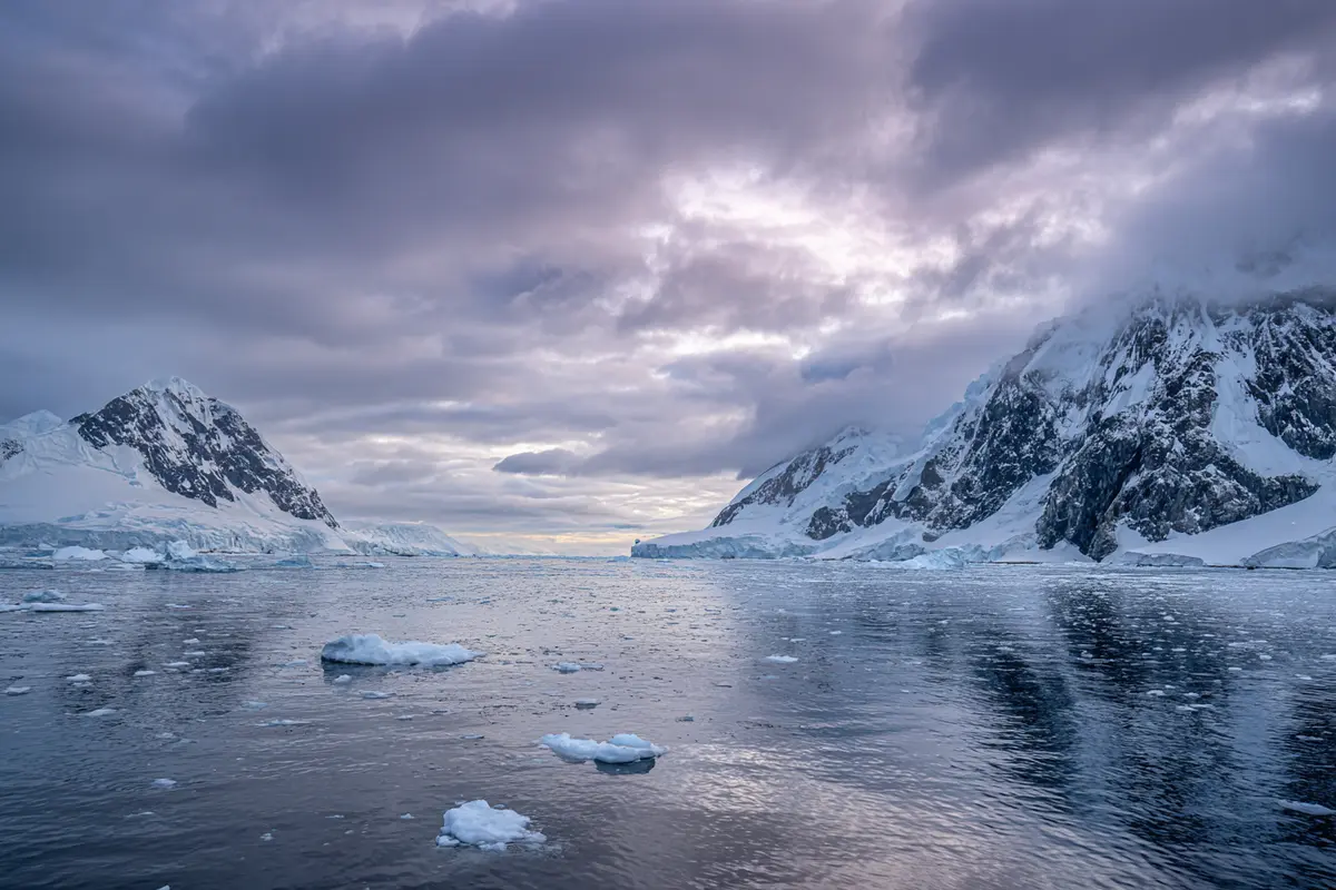 antarctique le guano des manchots fabrique des nuages