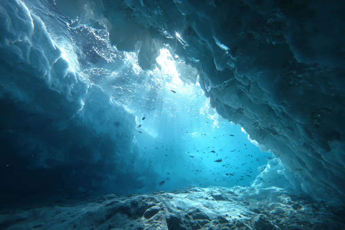 antarctique un ryseau de canyons qui change notre vision 2