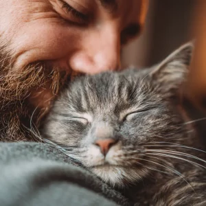 comment un chat choisit son humain pryfyry selon les experts