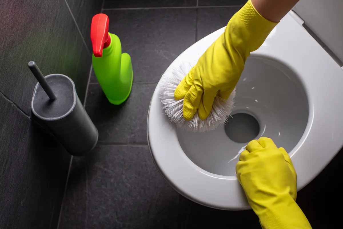 lastuce pour des toilettes neuves en 1 min chrono