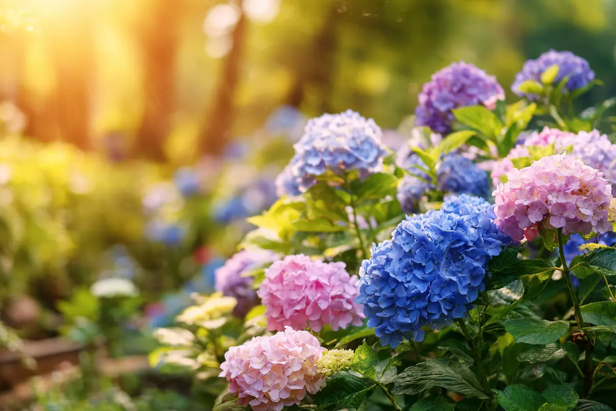 ne mettez jamais cette plante chez vous elle attire la solitude selon le feng shui 2