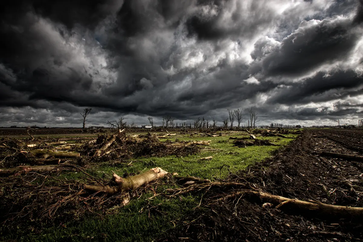 orages ils seffondraient comme des pantins 2
