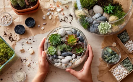 terrarium de succulentes le mini jardin facile et design