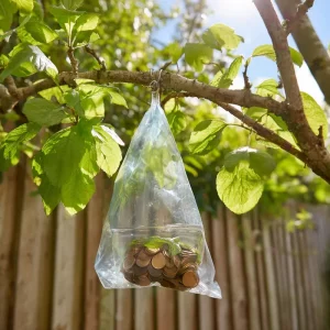 un sac deau des piyces lastuce gyniale contre les mouches